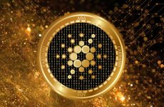 The most recommended platform to buy cardano nft as per requirements