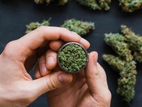 What are the options for getting weed delivered in Mississauga?