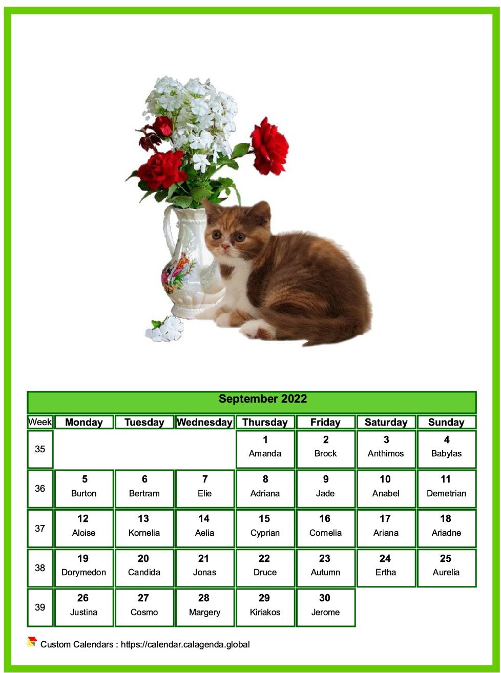 Cat Calendars